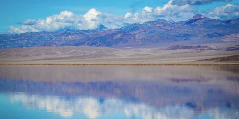 Долина Смерти: калифорнийская пустыня зацвела